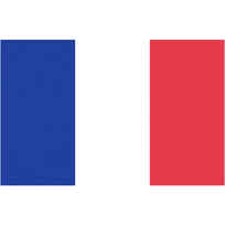 Bandiera Francia Pesante cm 20 x 30