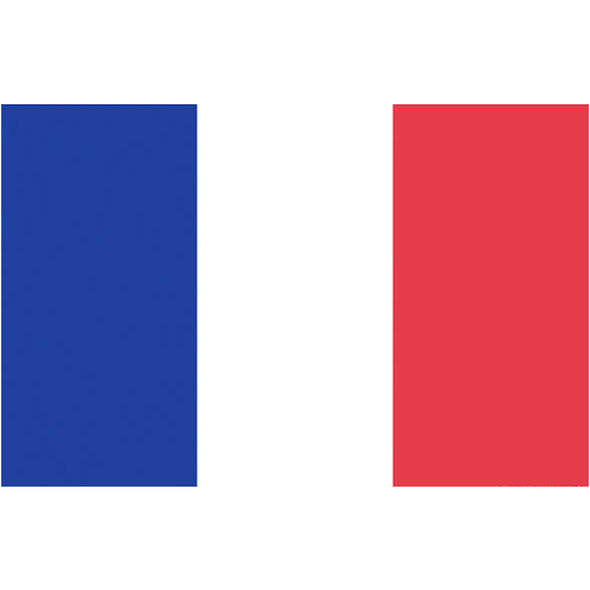 Bandiera Francia Pesante cm 30 x 45