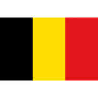 Bandiera pesante cm 50x75 - Belgio