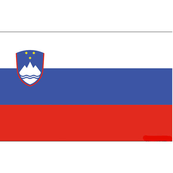 Bandiera Slovenia Pesante cm 20 x 30