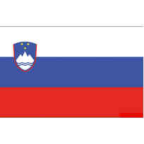 Bandiera Slovenia Pesante cm 20 x 30