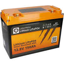 Batteria litio Liontron LiFePO4 BMS smart - 100 Ah