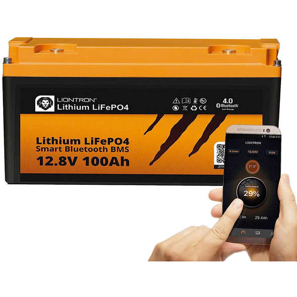 Batteria litio Liontron LiFePO4 BMS smart - 55 Ah