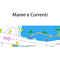 C-Map Cartografia Discover Coste Tirreniche e Isole SD/micro SD