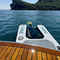 T-wave Rampa per Cani gonfiabile