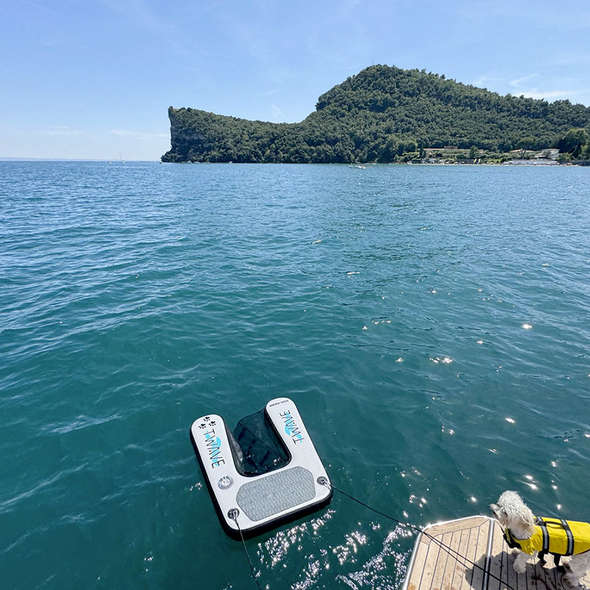 T-wave Rampa per Cani gonfiabile
